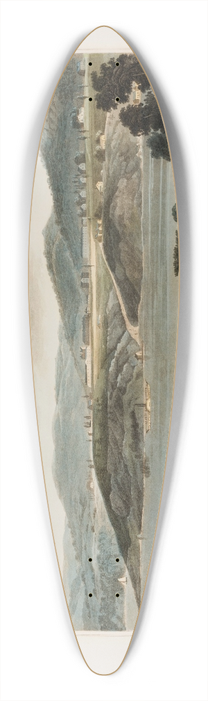William Guy Wall - West Point 39.3 inch art pintail longboard deck