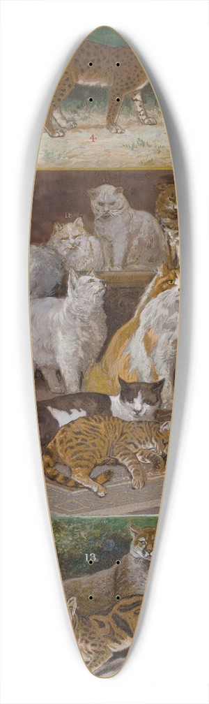 William Henry Drake - Felines 39.3 inch art pintail longboard deck