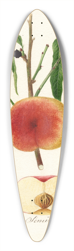 William Henry Prestele - Prunus persica: Seminole 39.3 inch art pintail longboard deck