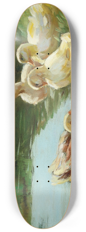 Demeter Koko - Ducks in the water 8.25 inch art skate deck