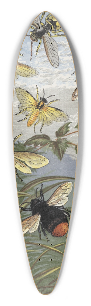 William Houghton - Hymenoptera 39.3 inch art pintail longboard deck