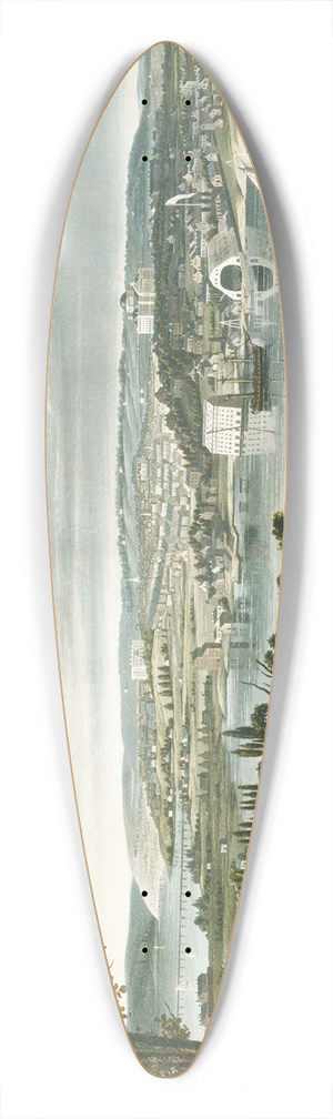 William James Bennett - City of Washington from beyond the Navy Yard 39.3 inch art pintail longboard deck William James Bennett - City of Washington from beyond the Navy Yard 39.3 inch art pintail longboard deck