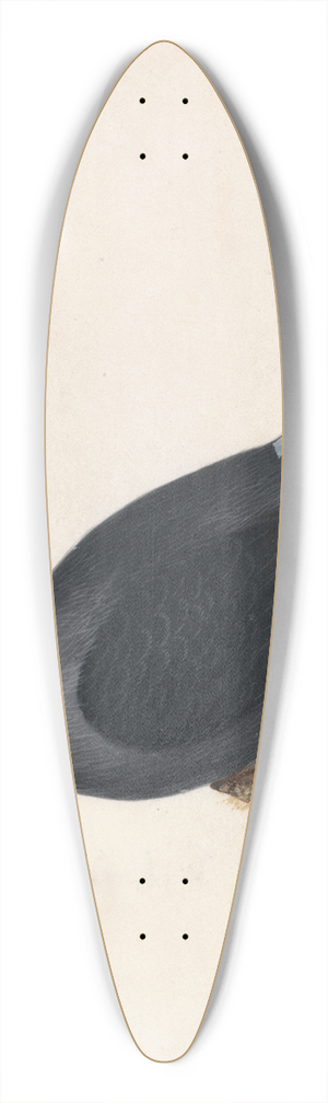 William Lewin - Jackdaw 39.3 inch art pintail longboard deck