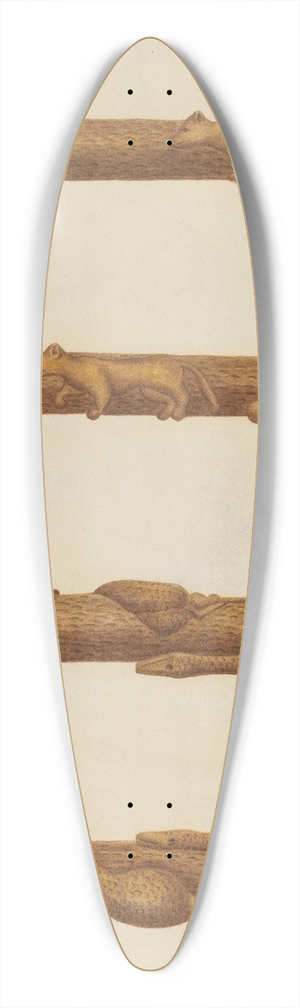 William McAuley - Walking Stick 39.3 inch art pintail longboard deck