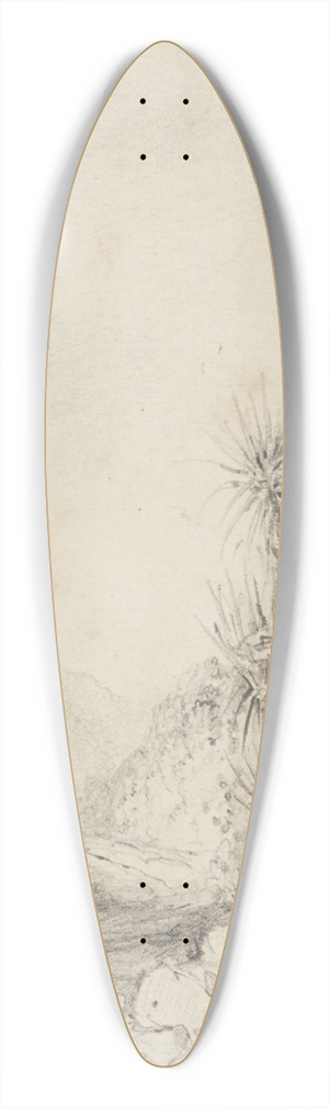 William Swainson - Termination of the second gorge,looking back, Upper Hutt 39.3 inch art pintail longboard deck