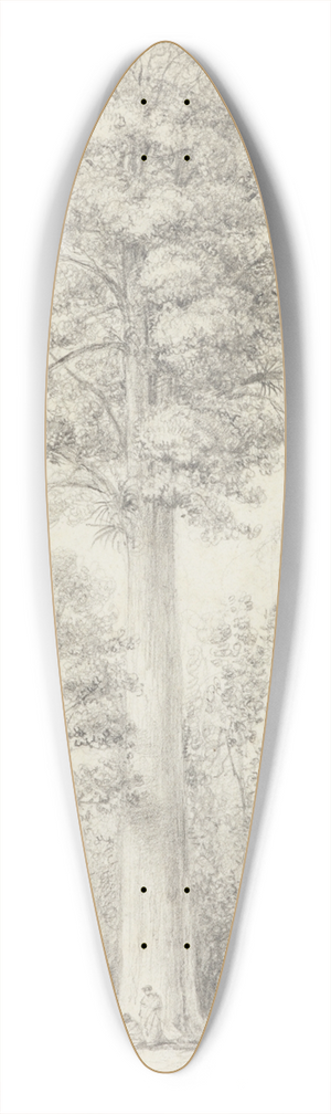 William Swainson - White pine 39.3 inch art pintail longboard deck