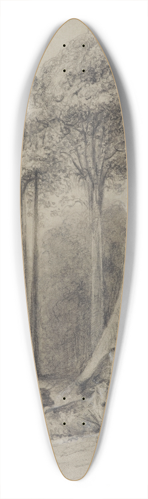 William Swainson - White pines, Hutt Forest 39.3 inch art pintail longboard deck