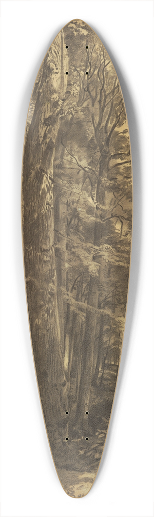 William Trost Richards - In The Woods 39.3 inch art pintail longboard deck