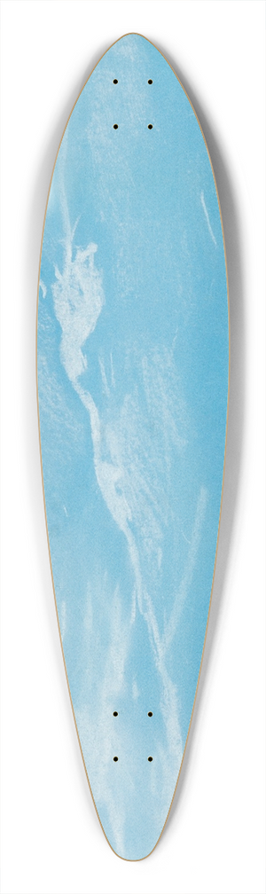 Winslow Homer - Seagull and Waves 39.3 inch art pintail longboard deck