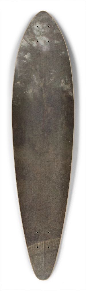 Witold Pruszkowski - Dusk 39.3 inch art pintail longboard deck Witold Pruszkowski - Dusk 39.3 inch art pintail longboard deck