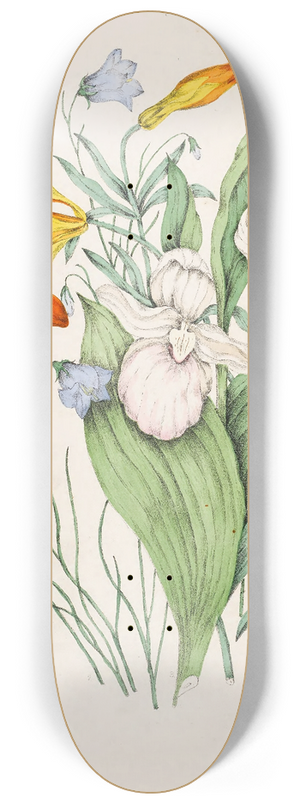 Agnes Fitzgibbon - Wild Orange Lily, Canadian Harebell, Showy Ladys Slipper 8.25 inch art skate deck