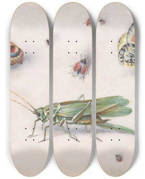 Triptych art skateboard deck of Jan Van Kessel The Elder Insects Butterflies And A Grasshopper by Jan Van Kessel The Elder (1626-1679)