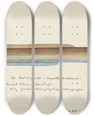 Triptych art skateboard deck of Frank Edward Clarke Anguilla Dieffenbachii by Frank Edward Clarke (1849-1899)