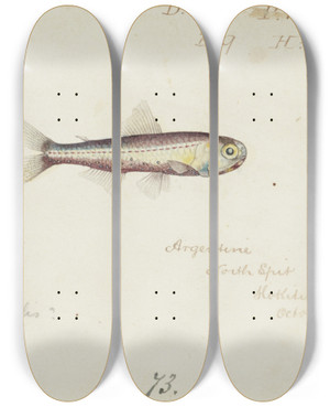 Triptych art skateboard deck of Frank Edward Clarke Maurolicus Muelleri by Frank Edward Clarke (1849-1899)
