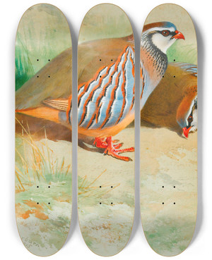 Triptych art skateboard deck of Archibald Thorburn French Partridge And Chicks by Archibald Thorburn (1860-1935)