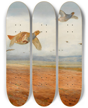 Triptych art skateboard deck of Archibald Thorburn A Covey Of Grey Partridge In Flight by Archibald Thorburn (1860-1935)