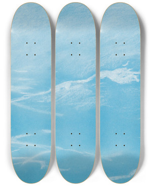 Triptych art skateboard deck of Winslow Homer Seagull And Waves by Winslow Homer (1836-1910)