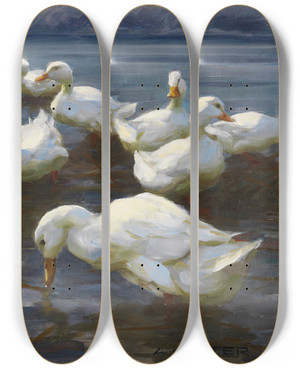 Triptych art skateboard deck of Alexander Koester Enten Am Seeufer_1 by Alexander Koester (1864-1932)