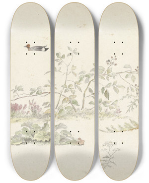 Triptych art skateboard deck of Josephus Augustus Knip Studieblad Met Planten En Watervogels by Josephus Augustus Knip (1777-1847)