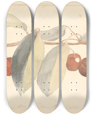 Triptych art skateboard deck of P C Skovgaard En Gren Med Paradisbler by P C Skovgaard (1817-1875)
