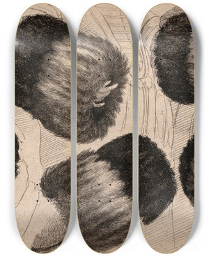 Triptych art skateboard deck of Wenceslaus Hollar A Muff In Five Views by Wenceslaus Hollar (1607-1677)