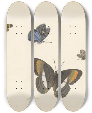 Triptych art skateboard deck of Herman Henstenburgh Vijf Vlinders by Herman Henstenburgh (1667-1726)