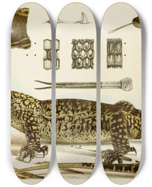 Triptych art skateboard deck of Frederick Mccoy Reptiles I by Frederick Mccoy (1817-1899)