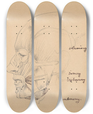 Triptych art skateboard deck of Stanisaw Wyspiaski Human Head Muscles by Stanislaw Wyspianski (1869-1907)