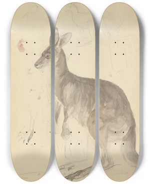 Triptych art skateboard deck of James Sowerby Two Kangaroos With Details_1 by James Sowerby (1757-1822)