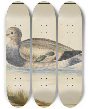 Triptych art skateboard deck of Pieter Holsteijn Duck To The Left by Pieter Holsteijn