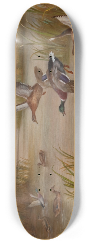 Edgar Hunt - Ducks in Flight 8.25 inch art skate deck