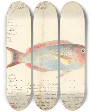 Triptych art skateboard deck of Luigi Balugani Harid by Luigi Balugani (1737-1770)