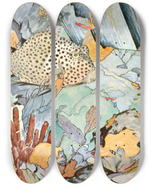 Triptych art skateboard deck of Stephen Haweis Atlantic Trunkfish by Stephen Haweis (1878-1969)
