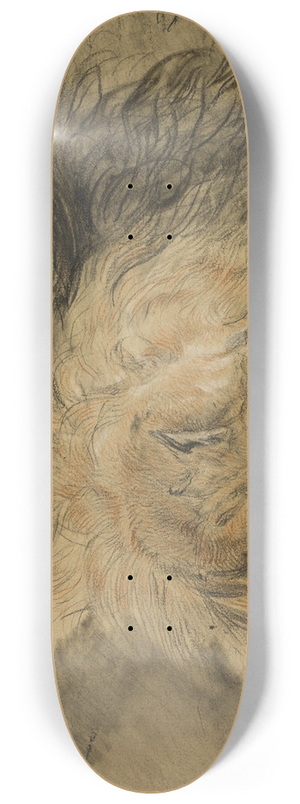 Edm Saint-Marcel - Lions Head and Sketch of a Lion 8.25 inch art skate deck Edm Saint-Marcel - Lions Head and Sketch of a Lion 8.25 inch art skate deck