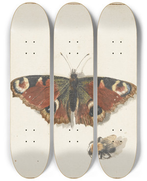 Triptych art skateboard deck of Johannes Van Bronckhorst Butterfly Moth And Bumblebee by Johannes Van Bronckhorst (1648-1727)