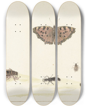 Triptych art skateboard deck of Rochus Van Veen Studieblad Met Verschillende Insecten by Rochus van Veen (1630-1693)