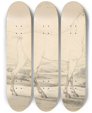 Triptych art skateboard deck of Charles Hamilton Smith Shrubaturreech by Charles Hamilton Smith (1776-1859) Triptych art skateboard deck of Charles Hamilton Smith Shrubaturreech by Charles Hamilton Smith (1776-1859)