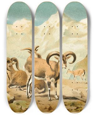 Triptych art skateboard deck of Pierre Jacques Smit Bharal by Pierre Jacques Smit (1863-1960)