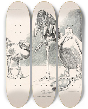 Triptych art skateboard deck of Charles Dana Gibson Some Rare Birds_1 by Charles Dana Gibson (1867-1944)