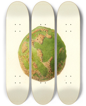Triptych art skateboard deck of James Marion Shull Citrus Paradisi_5 by James Marion Shull (1872-1948)