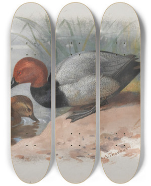 Triptych art skateboard deck of Archibald Thorburn A Pair Of Pochard by Archibald Thorburn (1860-1935)
