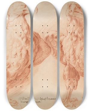 Triptych art skateboard deck of Willem Panneels Eagle Two Studies Of An Antique Sculpture Front View Half Turned To The Right And Front View Half Turned To The Left by Willem Panneels (1600-1634)