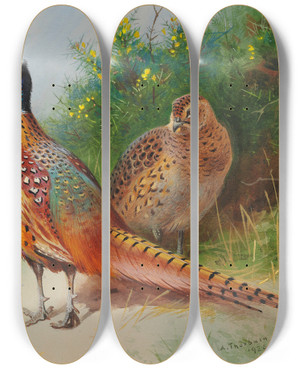 Triptych art skateboard deck of Archibald Thorburn A Hen And Cock Pheasant By Gorse by Archibald Thorburn (1860-1935)