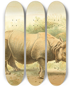 Triptych art skateboard deck of Pierre Jacques Smit Indian Rhinoceros by Pierre Jacques Smit (1863-1960)