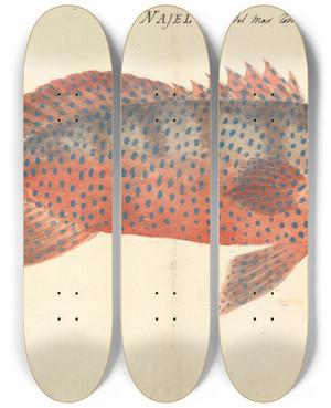 Triptych art skateboard deck of Luigi Balugani Najel by Luigi Balugani (1737-1770)