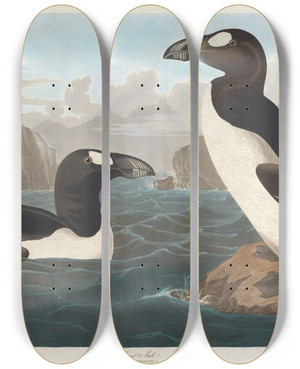Triptych art skateboard deck of John James Audubon Great Auk by John James Audubon (1785-1851)