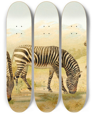 Triptych art skateboard deck of Pierre Jacques Smit Zebra by Pierre Jacques Smit (1863-1960)