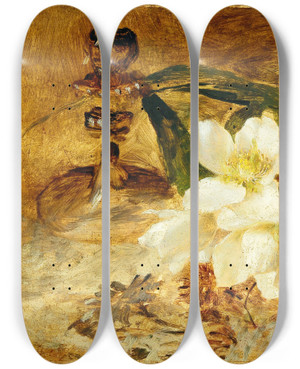 Triptych art skateboard deck of Olga Wisingerflorian Black Hellebore by Olga Wisinger-Florian (1844-1926)