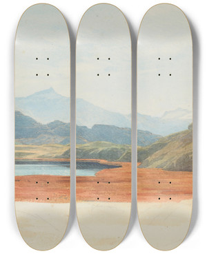 Triptych art skateboard deck of James Crowe Richmond Lagoon Flowering Bulrushes Wanaka by James Crowe Richmond (1822-1898)