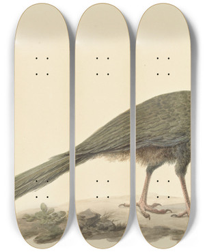Triptych art skateboard deck of Pieter Pietersz Barbiers Penelope Op De Grond by Pieter Pietersz Barbiers (1749-1842)